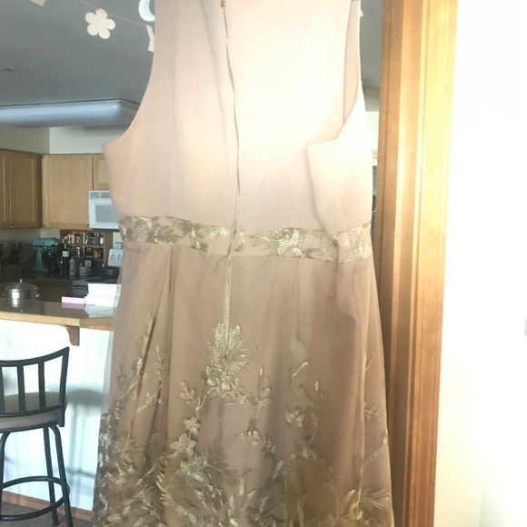 Lovedrobe Plus Skater Dress With Lace Border - Picture 4 of 4